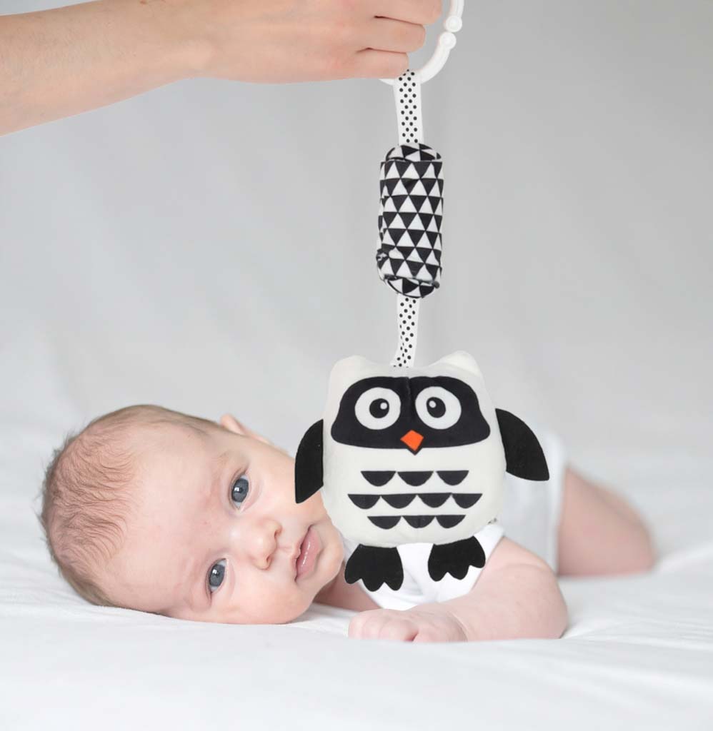 d021ddbbe2be56322b927a1221dbe574