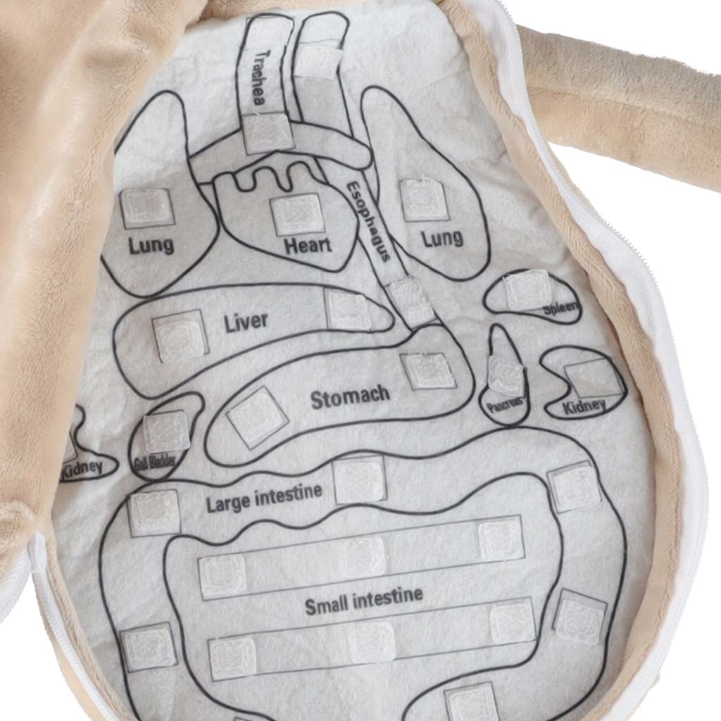 c6f229a7622e10937749a3fcbefb4b34