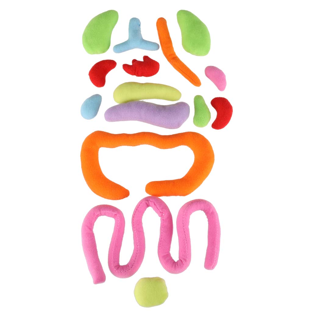 b1f7709a3d66d57cd2e425a6acd93daf