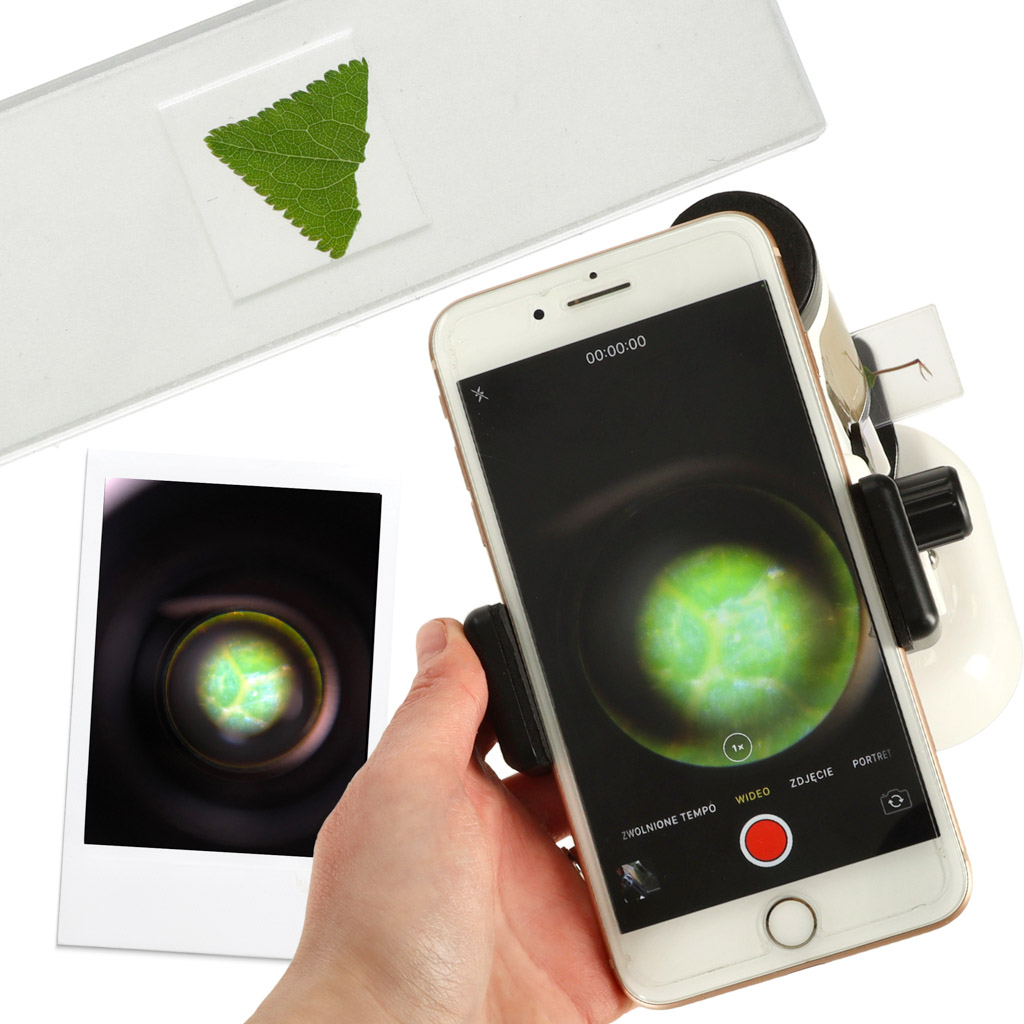 42491414ffdb54da89ff9fd52fccb9ba