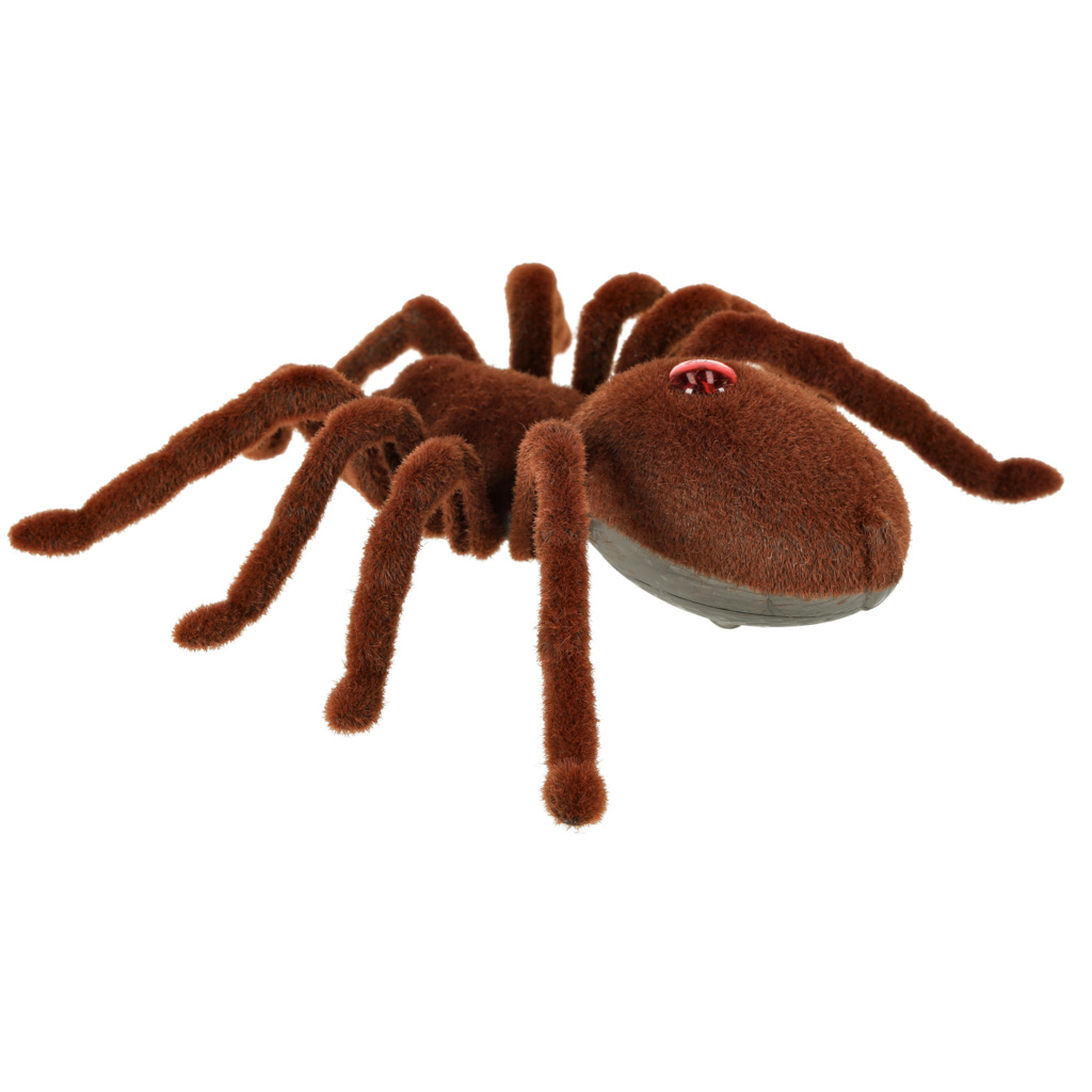 7c31a6dc82bf04edd81f3123053bd7d0